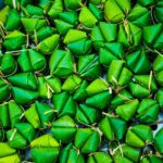 perbandingan harga geprek bensu medan dengan franchise lain