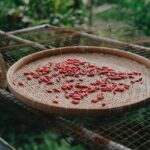 The Evolution of Geprek Bensu Medan: From Local to National